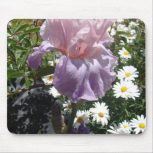 Snygg Lila Iris Flower blommigt Photo Musmatta