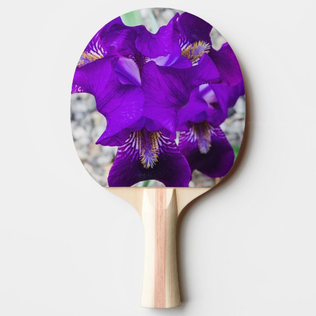 Snygg lila iris pingisracket (Baksidan)