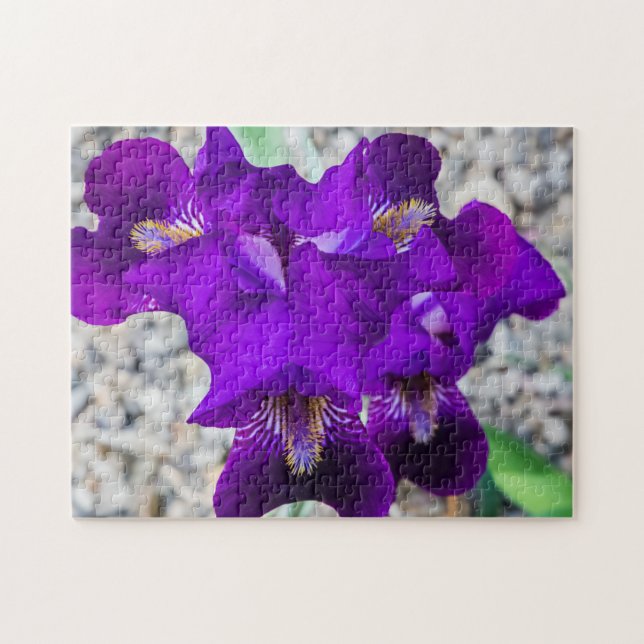 Snygg lila iris pussel (Horisontell)