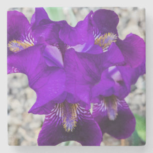 Snygg lila iris stenunderlägg