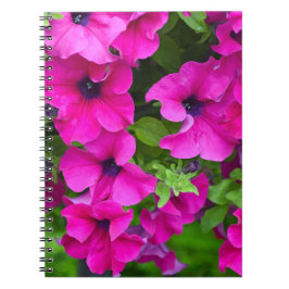 Snygg lila petunias print anteckningsbok med spiral