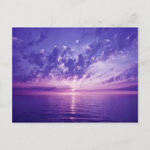 Snygg lila sunset vykort