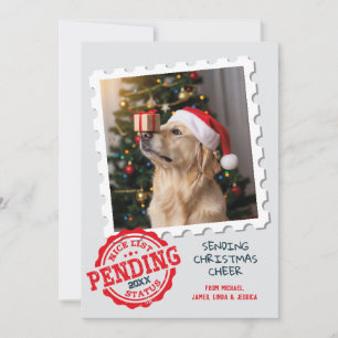 Snygg lista i väntan på fin Hund - foto jul Julkort
