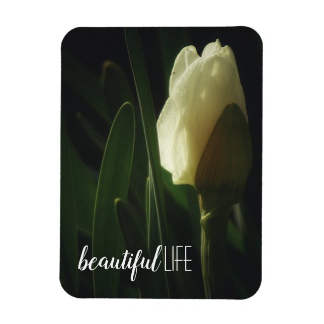 Snygg livsstil Daffodil-foto Magnet (Vertikal)