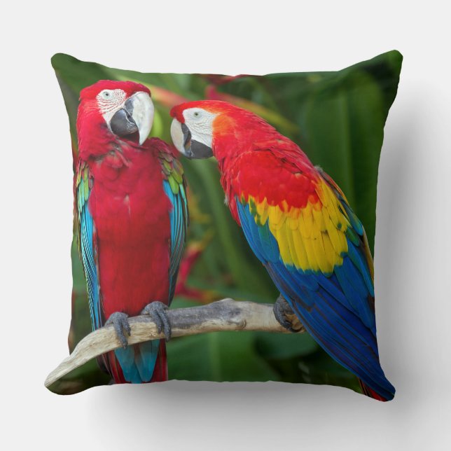 Snygg Macaw par Dekorativ kudde (Framsida)