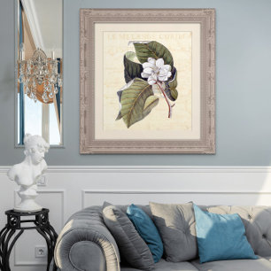 Snygg Magnolia Blommar Antique Collage Poster