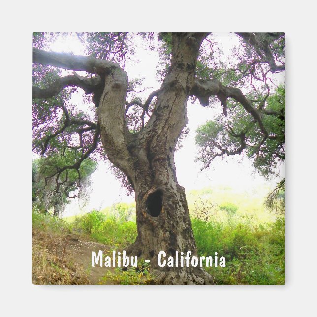 Snygg Malibu Magnet! Magnet (Framsidan)