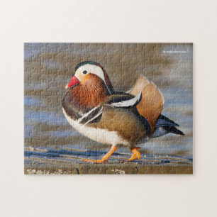 Snygg Mandarin Anka på Boardwalden Pussel
