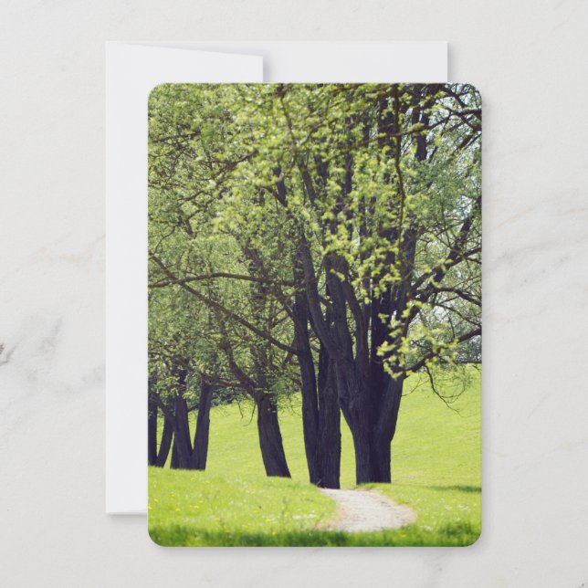 Snygg Meadow (Framsida)