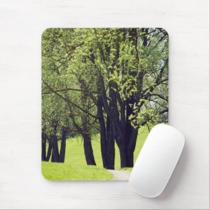 Snygg Meadow Musmatta