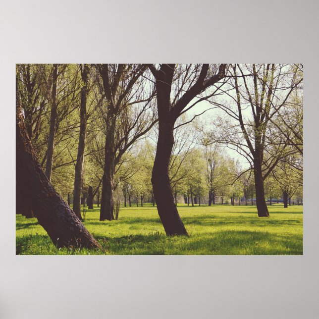 Snygg Meadow Poster (Framsidan)