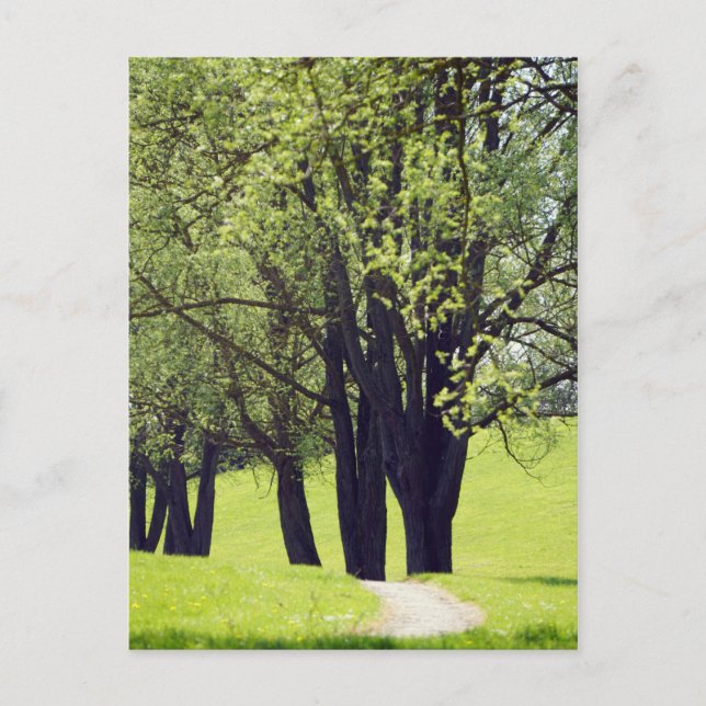 Snygg Meadow Vykort (Framsida)