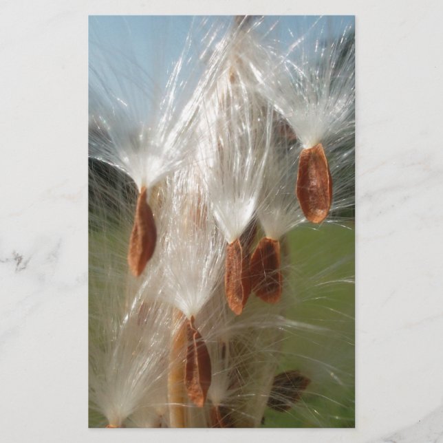 Snygg Milkweed Magic: A Skyward Flight Design Brevpapper (Framsida)