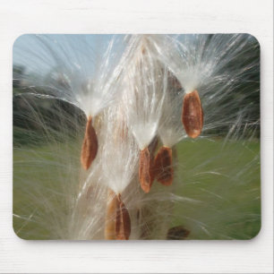 Snygg Milkweed Magic: A Skyward Flight Design Musmatta
