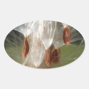 Snygg Milkweed Magic: A Skyward Flight Design Ovalt Klistermärke