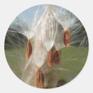 Snygg Milkweed Magic: A Skyward Flight Design Runt Klistermärke