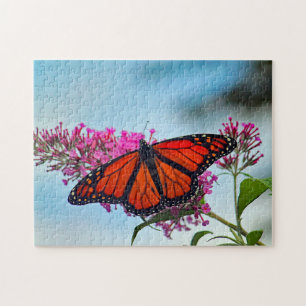 Snygg Monarch Butterfly Photo Pussel
