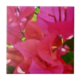 Snygg Mörk Rosa Flower Bougainvillea Kakelplatta