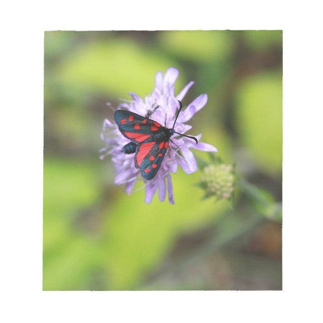 Snygg Moth Anteckningsblock (Framsida)