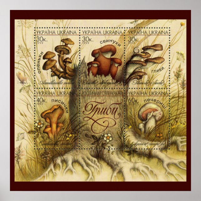 Snygg Mushroom Frimärke ~ Toadstool Ukraina 1999 Poster (Framsidan)