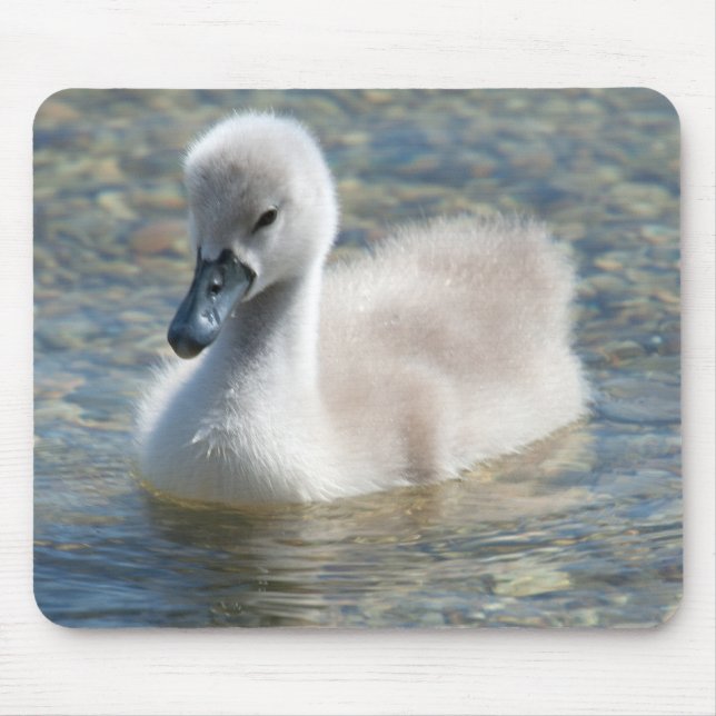 Snygg Mute Svan Duckling Musmatta (Framsidan)