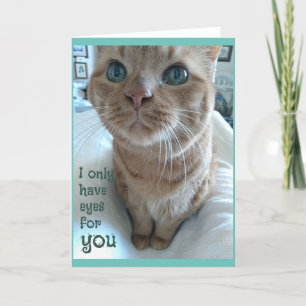 Snygg Öga Valentine Kort