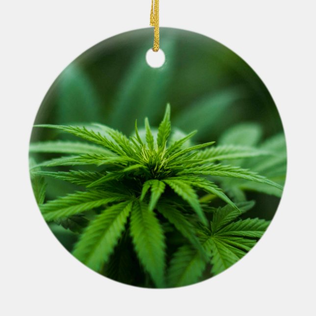 Snygg Ogräs Julgransprydnad Keramik (Baksidan)