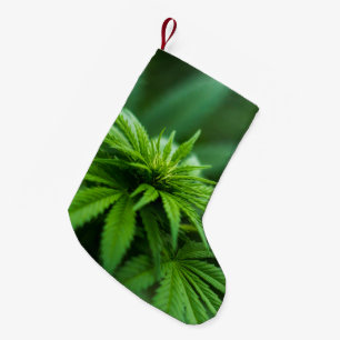 Snygg Ogräs Liten Julstrumpa