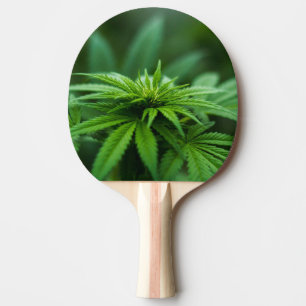 Snygg Ogräs Pingisracket