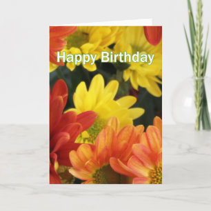 Snygg orange, gult daisy blommor grattis på födels kort