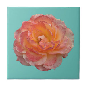 Snygg orange peony kakelplatta