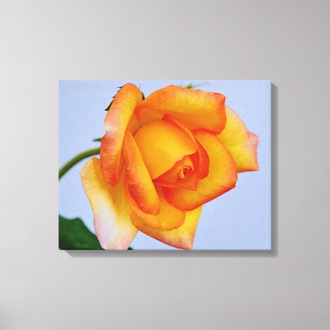 Snygg Orange Ro Canvas Art Skriv ut (Framsida)