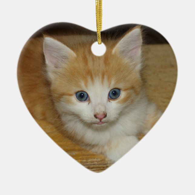 Snygg Orange Tabby Kitten Julgransprydnad Keramik (Framsidan)