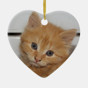 Snygg Orange Tabby Kitten Julgransprydnad Keramik