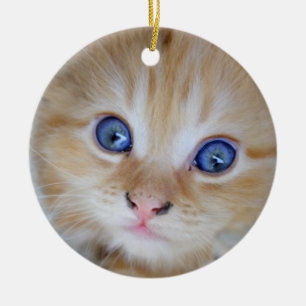 Snygg Orange Tabby Kitten Julgransprydnad Keramik