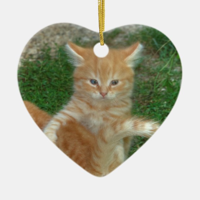 Snygg Orange Tabby Kitten Julgransprydnad Keramik (Framsidan)