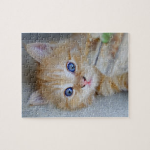 Snygg Orange Tabby Kitten Pussel