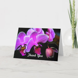 Snygg Orchid Tack Kort