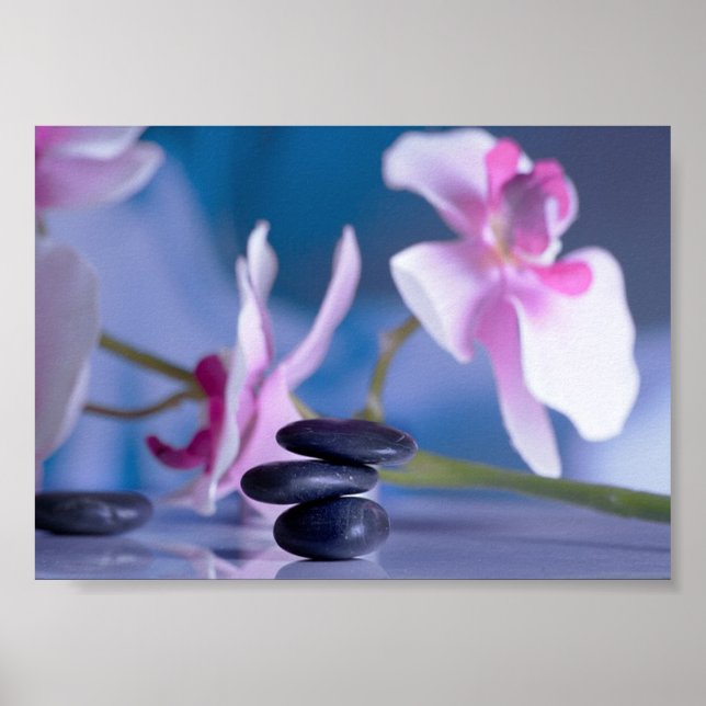 Snygg Orchid, Zen Stones Poster (Framsidan)