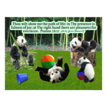 Snygg Panda Scripture: Psalms 16:11,