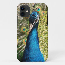 Snygg Peacock