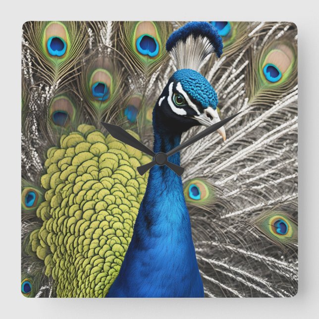 Snygg Peacock Fyrkantig Klocka (Framsida)