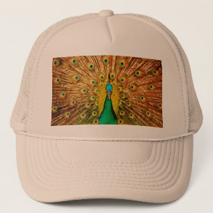Snygg Peacock Keps