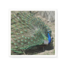 Snygg Peacock