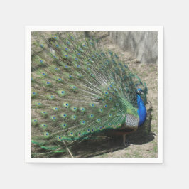 Snygg Peacock Pappersservett