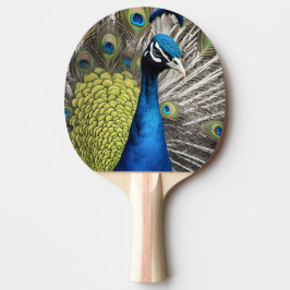 Snygg Peacock Pingisracket