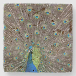 Snygg Peacock Stenunderlägg