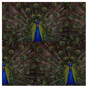 Snygg Peacock Tyg