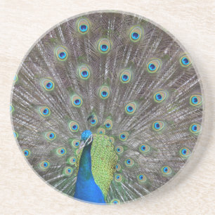 Snygg Peacock Underlägg
