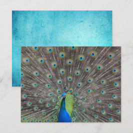 Snygg Peacock Vykort